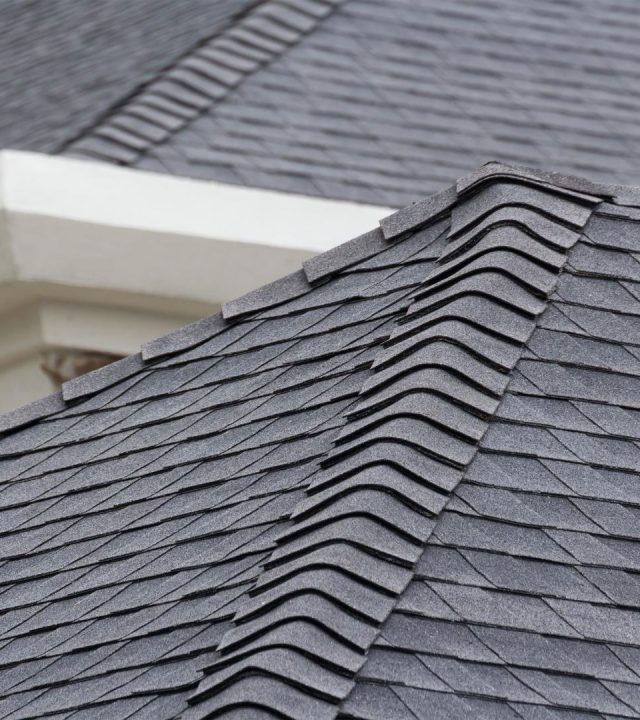 Detailed roof condition check in Webster, MO by professional inspectors